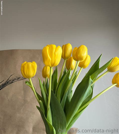 Data Night Nude OnlyFans Leaks Fappening FappeningBook