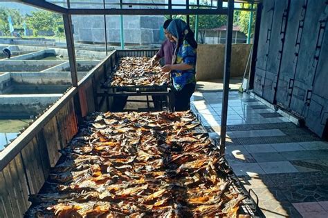 Foto Abon Patin Dan Kerupuk Tulang Ikan Inovasi Bisnis Olahan Ikan