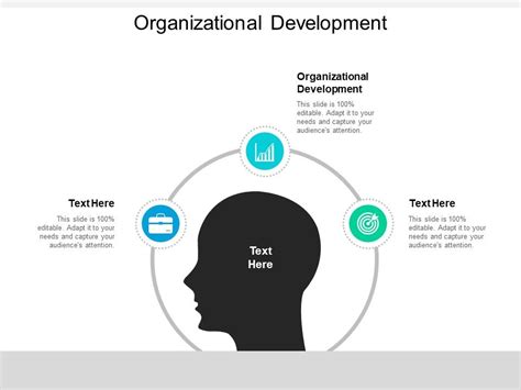 Organizational Development Ppt PowerPoint Presentation Inspiration Tips Cpb