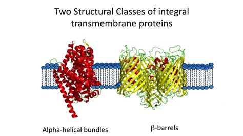 Biochemistry, University of Toronto – BCH422H