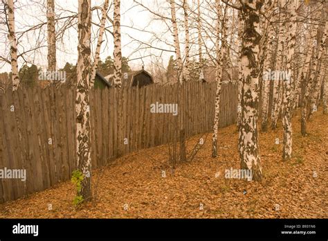 Dacha hi-res stock photography and images - Alamy