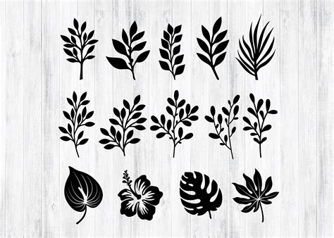 Foliage Bundle Svg Foliage Hand Drawn Svg Botanical File Etsy