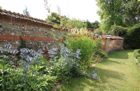 Многолетние сухоцветы: фото, названия и описания цветов