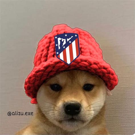 Cachorrinho Com Touca Do Atlético De Madrid Cachorro Touca Toquinho