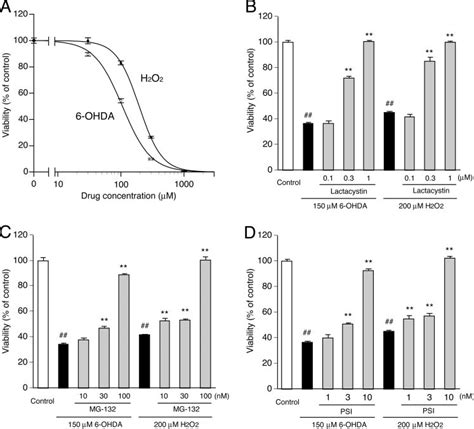 Effects Of Proteasome Inhibitors On Ohda And H O Induced