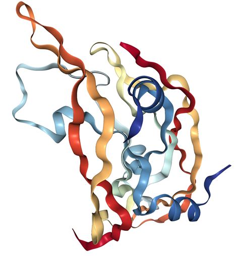 Vegf A Protein Overview Sino Biological