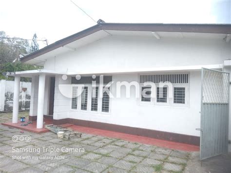 House For Rent In Mount Lavinia Ikman