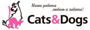Одежда для собак DOGMODA: купить одежду для собак, красивая одежда для ...