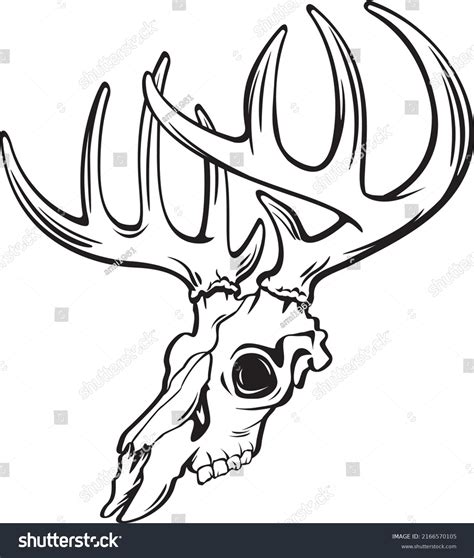 3,521 Elk Skull Images, Stock Photos & Vectors | Shutterstock