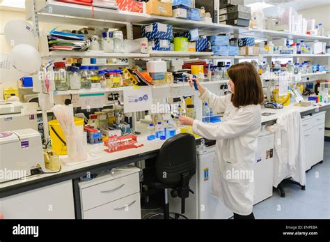laboratory scientist  res stock photography  images alamy