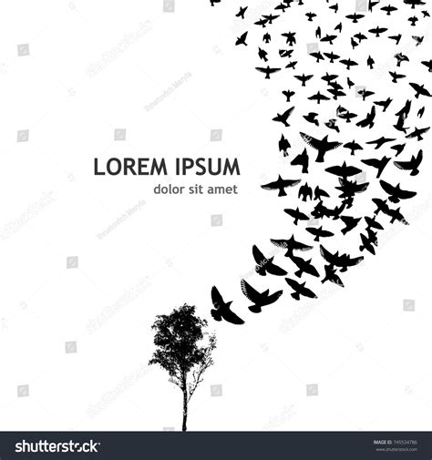 A Bird Of Feather Flock Together