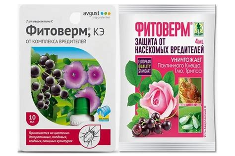 Как обработать клубнику "Фитовермом", сроки и правила