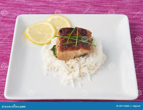 Grilled Mahi Mahi stock photo. Image of fresh, lemon - 20113866