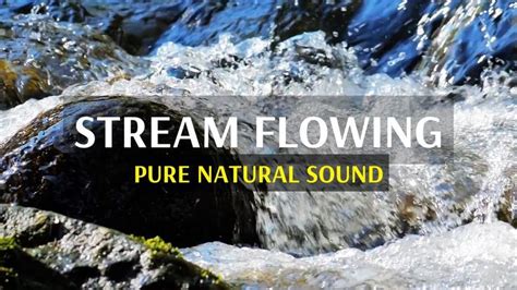 Water stream flowing | Meditation, sleep and relaxing nature sounds in 2022 | Nature sounds ...