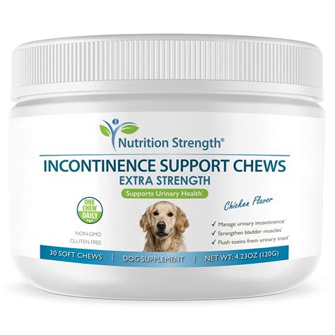 What Can I Give My Dog For Incontinence