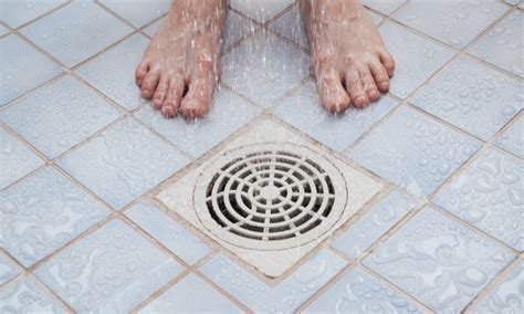 Causes Of Sewer Smell In The Bathroom Tips To Fix