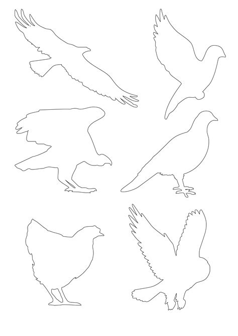 Трафарет птицы: распечатать формат А4 — 3mu.ru