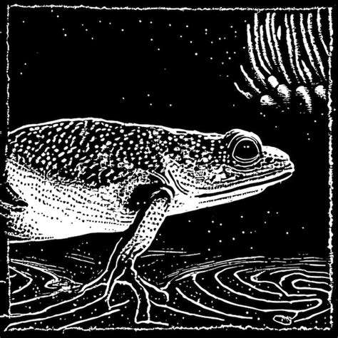 Tadpole Vector Illustration Engraving Premium Ai Generated Vector
