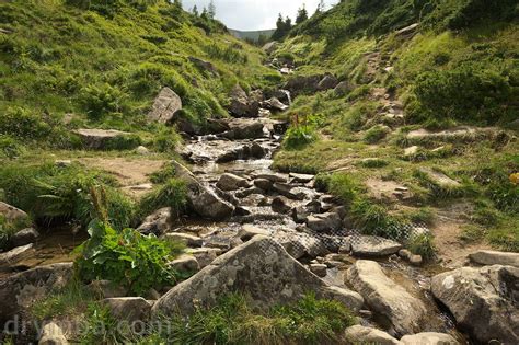 Річка Прут: карта, фото