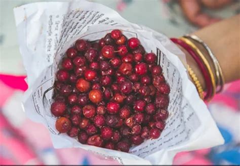 A Grade Fresh Ber Fruit Packaging Type Carton Packaging Size 5 Kg