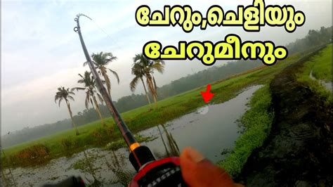 അടിപൊളി ചേറുമീൻ പിടിത്തംcherumeen Fishingkerala Snakehead Fishing