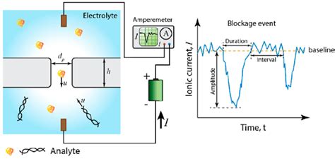 Schematics Showing The Device Structure Of A Typical Nanopore Sensor