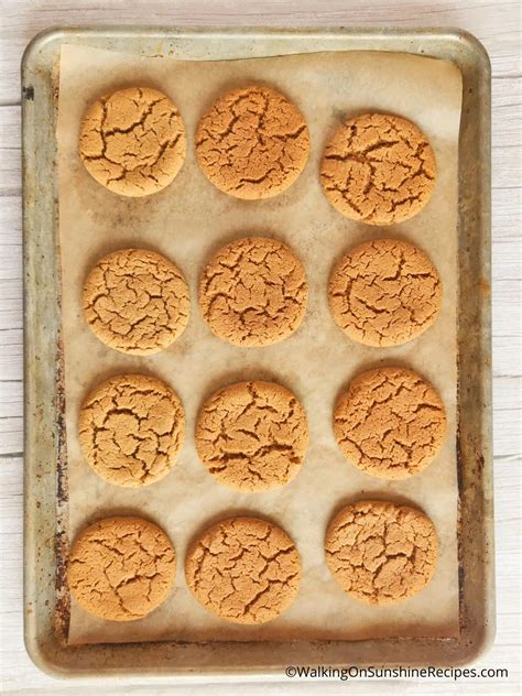 Gingerbread Cookie Recipe - Walking On Sunshine Recipes
