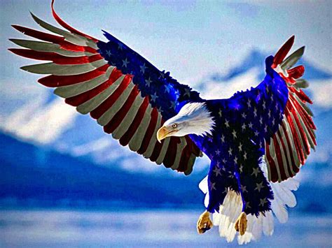 Professional Profile and Background of Antonio DiGiovanni 13