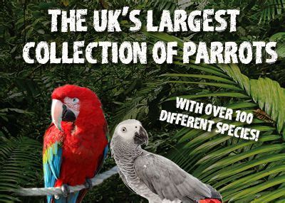 Lincolnshire Wildlife Park - The UK's biggest collection of Parrots ...