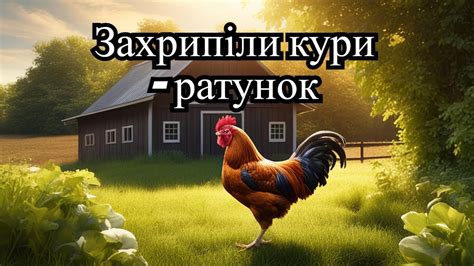 Захрипіли кури. Чим лікувати курей? Мій спосіб лікування. - YouTube