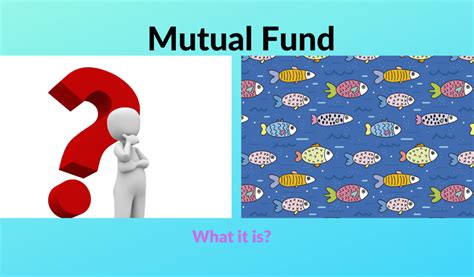 mutual fund meaning    strong structure paisa health