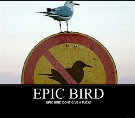 Dont Give A Fuck Meme By Felixxxx K Memedroid