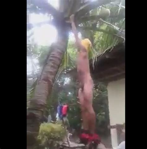 Just Naked Pantsed While Climbing Tree ThisVid