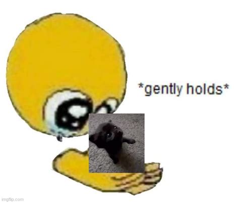 Holds Gently Imgflip