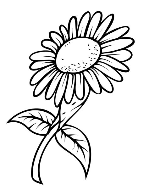 Desenhos de Girassol Para Imprimir e Colorir | Wonder-day.com