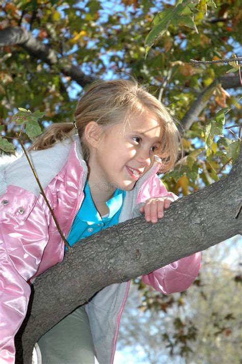Hiding Spot Stock Photo Image Of Ancient Climbing Green 1631082