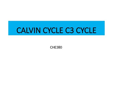 Calvin Cycle Occurs In 7
