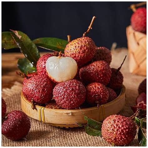 Obst Samen Set Seltene Pflanzen Winterharte Pflanzen Für Kübel Obst
