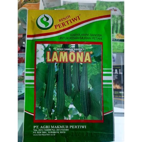 Jual Benih Gambas Hibrida Lamona F1 Pertiwi Original Pabrik Shopee