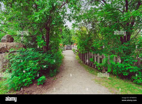 stream and trail landscape Stock Photo - Alamy