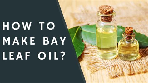 How To Make Bay Leaf Oil Condimentbucket