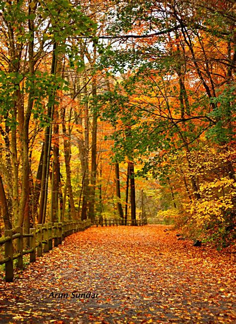 Wissahickon Trail Farimount Park Photographed Is The Walk Flickr