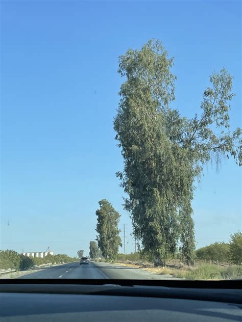 78 best Highway 99 images on Pholder | Reverse1999, The Way We Were and