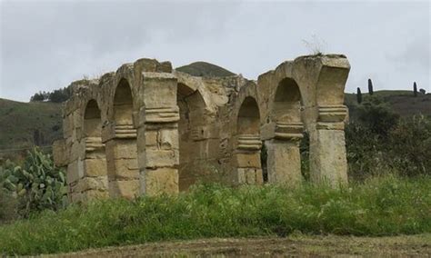 al palagonia net worth