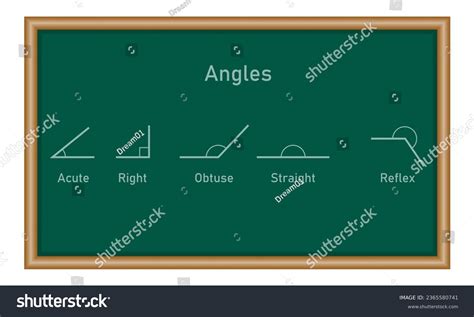 types angles acute  obtuse straight stock vector royalty