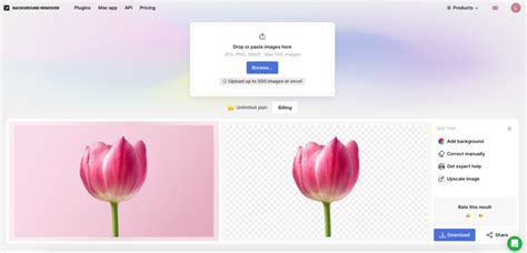 What Is the Best Free Background Remover Tool?