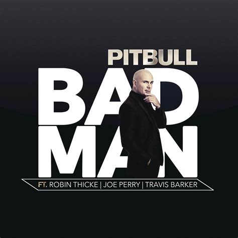 Pitbull Con Robin Thicke Joe Perry Y Travis Barker Bad Man La