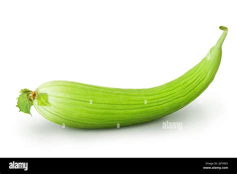 An Unusual And Rare Delicacy An Armenian Cucumber Or Snake Melon