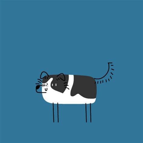 Excited Dog GIF by CsaK