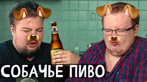 СОБАЧЬЕ ПИВО - YouTube